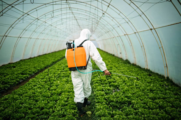 Professional Pest Control in Glen Rock, PA
