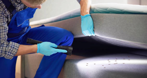 Pest Prevention Services in Glen Rock, PA